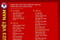 HLV Philippe Troussier không gọi Văn Trường, Quốc Việt dự giải châu Á; Hoàng Anh Gia Lai sắp đón hai ngôi sao Thai League