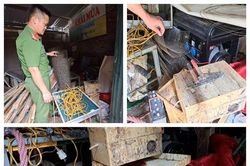 Hòa Bình: Chỉ đạo đưa hành vi khai thác giun đất trái phép vào 'quy ước, hương ước' để quản lý, xử lý