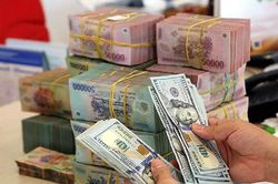 Tỷ giá ngoại tệ hôm nay 1/9: Đồng USD thế giới hồi phục trở lại