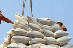 Xuất khẩu gạo 8 tháng tăng hơn 30% về giá trị