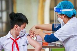 Bộ Y tế thành lập 2 đoàn kiểm tra, giám sát phòng chống bệnh bạch hầu
