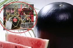 Cận cảnh loại dưa hấu 'màu xấu xí' nhất thế giới có giá gần 150 triệu ngang xe SH nhập khẩu
