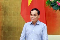 Sẽ theo dõi cơ quan trả lại vốn với mục đích 'làm đẹp' tỉ lệ giải ngân
