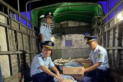 Thu giữ 800 kg chân giò lợn không rõ nguồn gốc xuất xứ