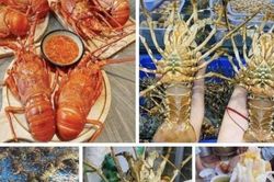 Bất ngờ tôm hùm xanh được rao bán với giá 'giải cứu', chỉ từ 450 nghìn đồng/kg