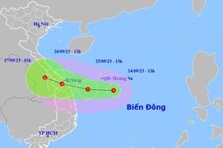 Áp thấp nhiệt đới di chuyển nhanh, Đà Nẵng chủ động ứng phó mưa lớn, gió mạnh