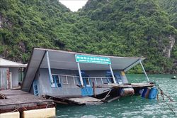 Khắc phục sự cố Khu Bảo tồn lớp học làng chài trên vịnh Hạ Long bị chìm