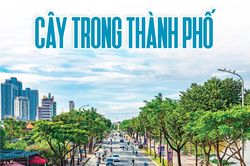 Xanh hơn những con đường
