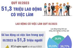 Quý III/2023: 51,3 triệu lao động có việc làm