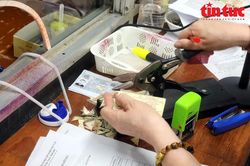Cục Đường bộ Việt Nam: Chưa có văn bản quy định phải đổi bằng lái xe máy bản giấy sang thẻ nhựa