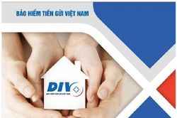 Bảo hiểm tiền gửi Việt Nam góp phần đẩy lùi 'tín dụng đen'