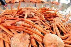 Nhật Bản tăng hạn ngạch khai thác cua tuyết lần đầu tiên sau 3 năm