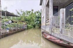 Thời tiết ngày 13/10: Từ Hà Tĩnh đến Quảng Nam có mưa rất to, nguy cơ ngập lụt, sạt lở đất