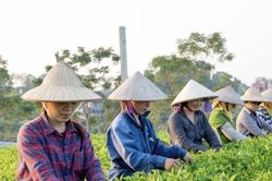 Phát triển kinh tế số phải đảm bảo an ninh mạng cho khu vực nông thôn
