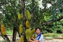 Hiện tượng mạng Lệ Rơi ở tuổi 36 có cuộc sống ra sao?
