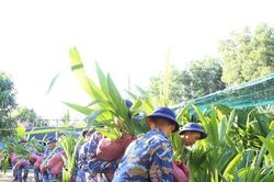 2.000 cây dừa giống được trao tặng cho huyện đảo Trường Sa