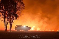 Cháy rừng hoành hành ở miền Đông Australia