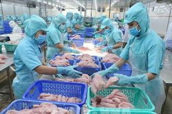 Chủ động tìm hiểu thị trường, tăng cơ hội xuất khẩu thủy sản sang Vương quốc Anh