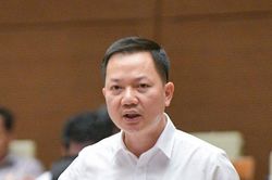 'Thao túng trong thị trường bất động sản rất tinh vi'