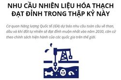 IEA: Nhu cầu nhiên liệu hóa thạch đạt đỉnh trong thập kỷ này