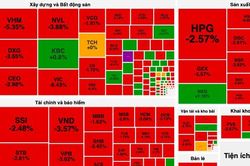 Gánh nặng từ nhóm cổ phiếu 'vua' khiến VN-Index rơi 24 điểm