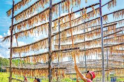 Xứ biển vào mùa khô Tết