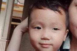 Nghệ An: Tìm kiếm bé trai 2 tuổi mất tích bí ẩn ở cổng nhà