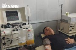 Giọt máu hồng yêu thương