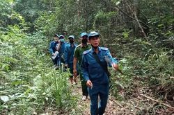 Gia Lai: Hơn 22 nghìn ha rừng được giao cho người dân quản lý và bảo vệ trong năm 2023