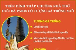 Tượng gà trống mới trên đỉnh tháp chuông Nhà thờ Đức Bà Paris