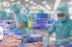 Xuất khẩu cá tra sang EU: Giá giảm, nhu cầu tiêu thụ kém