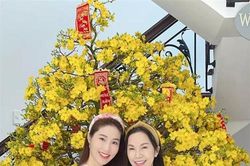 Chân dung ít biết của mẹ chồng Diễm My 9X: Trẻ trung, thanh nhã, không tiếc tiền tặng sính lễ, biệt thự đắt giá cho con dâu