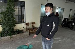 Bắt giữ đối tượng vận chuyển, tàng trữ động vật hoang dã