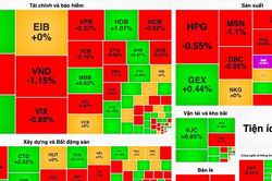 Thị trường phân hóa, VN-Index nỗ lực giữ mốc 1.100 điểm