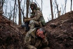 Tình báo Anh: Quân đội Ukraine bị chuột 'tấn công'