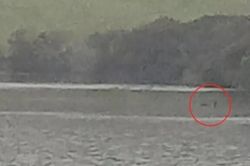 Xôn xao bằng chứng về sự tồn tại của quái vật hồ Loch Ness