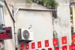 'Kiếp nạn' của giới trẻ chụp áo dài Tết tại Hà Nội, nhìn mà chán ngang