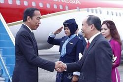 Làm sâu sắc, hiệu quả hơn nữa quan hệ đối tác chiến lược Việt Nam - Indonesia
