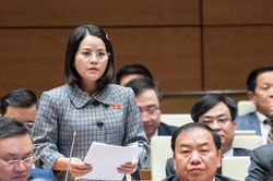 Đề nghị không quy định phương pháp thặng dư trong định giá đất