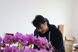 Chủ cửa hàng hoa lan chi hàng trăm triệu đồng thuê thợ về cắm