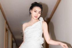 Ninh Dương Lan Ngọc khẳng định không trốn sang Úc sinh con