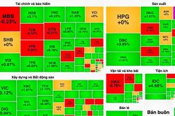 Lực cầu nhập cuộc, VN-Index bật tăng vào cuối phiên