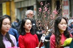 Thời tiết Tết Giáp Thìn 2024: Bắc Bộ chuyển rét, có nơi rét đậm, rét hại