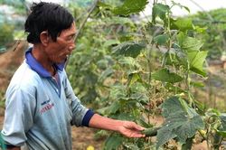 Đà Nẵng triển khai loạt chính sách, phấn đấu 2025 không còn hộ nghèo