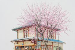 Dành cả thanh xuân để vẽ tiệm tạp hóa
