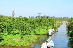 Đồng Tháp phấn đấu tăng trưởng GRDP năm 2024 đạt mức 8%