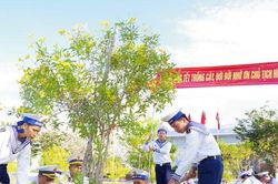 Vùng 2 Hải quân phát động Tết trồng cây xuân Giáp Thìn 2024