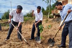 Nông dân sẽ trồng 40.000 cây xanh trên toàn tỉnh Khánh Hòa