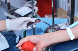Lễ Hội Xuân hồng 2024: 'Hiến máu đầu xuân – Nhân lên hạnh phúc'