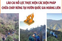 Nỗ lực thực hiện các biện pháp chữa cháy rừng tại Vườn Quốc gia Hoàng Liên